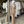 Pointed Lapel Elegant 2PC Sets