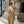 Pointed Lapel Elegant 2PC Sets