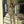 Side Cinch Belted Set