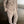 Hidden Buttons Blazer Set 2PC