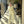 Vanta Belted Set