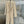 Minimalist Belted Long Blazer