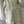 Lace Edge 2PC Set