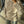 Batwing Sleeves Blazer