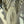 Curved Wide Leg Trousers