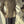 Button-side Asymmetric Blazer