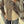 Button-side Asymmetric Blazer