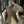 Button-side Asymmetric Blazer